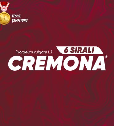 Cremona