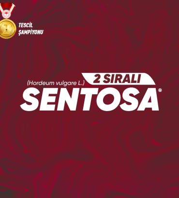 Sentosa