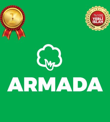 Armada
