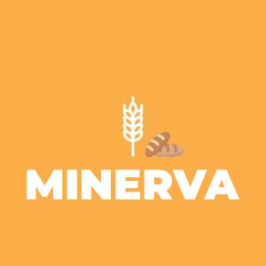 Minerva