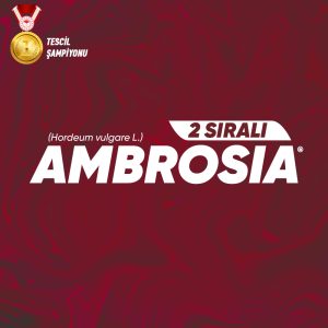 Ambrosia