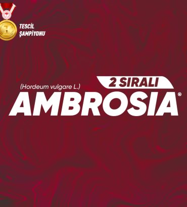 Ambrosia